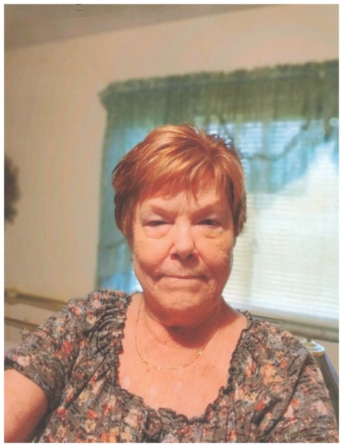 Obituary of Sandra Lee "Sandy" Custer