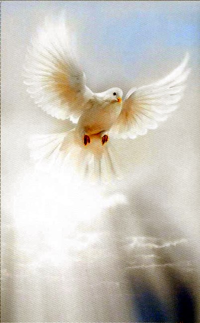 Obituary of Joaquin Nemesio Lopez