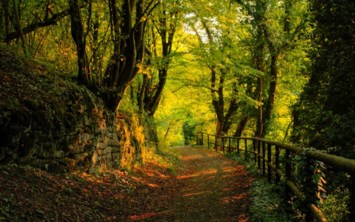 Obituary of David Bain Polson