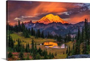 Obituary of Robert Ramon Cooper