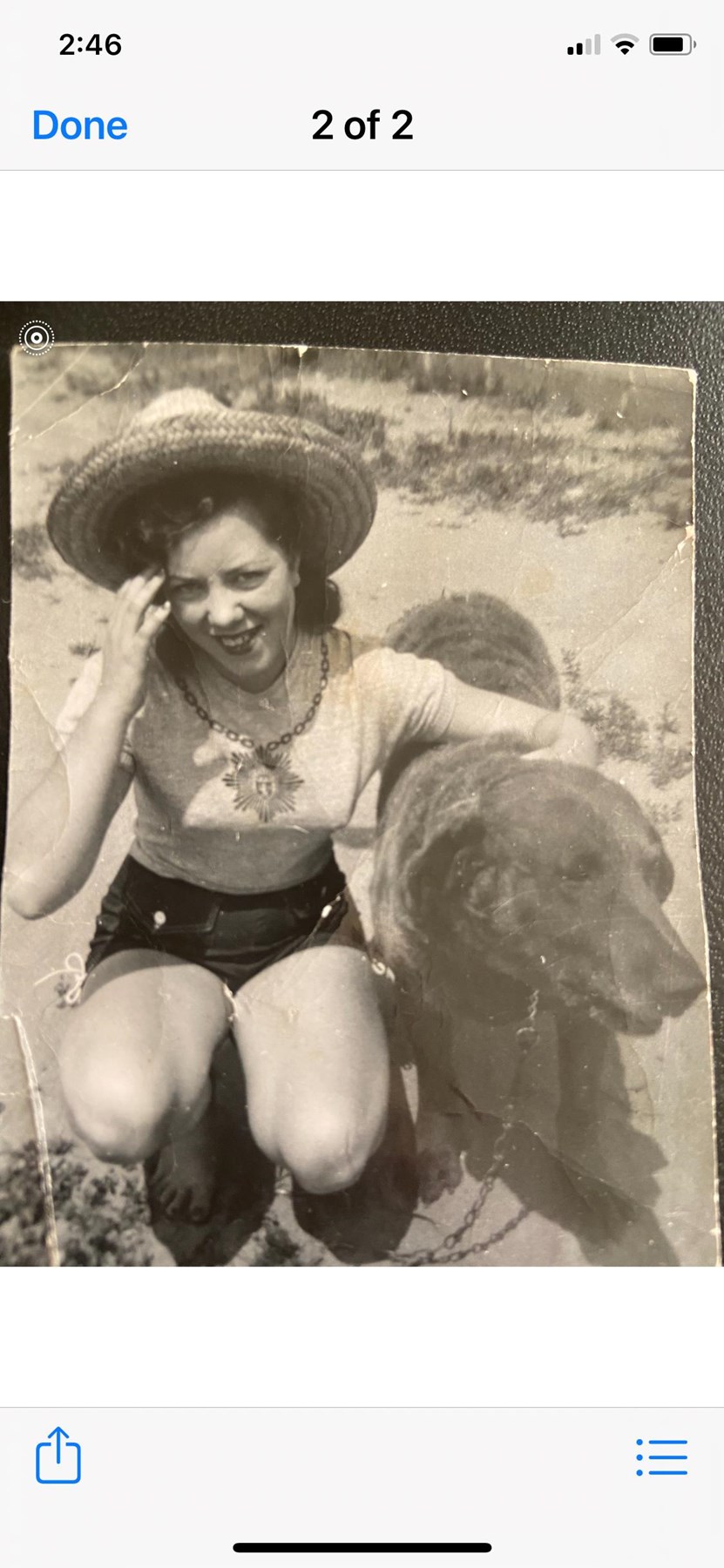 Obituary of Shirley Ann Lowe