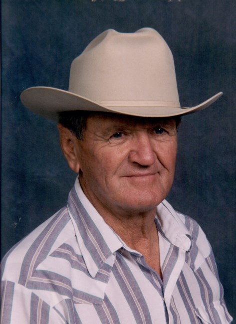 Obituary of Robert Sheppard