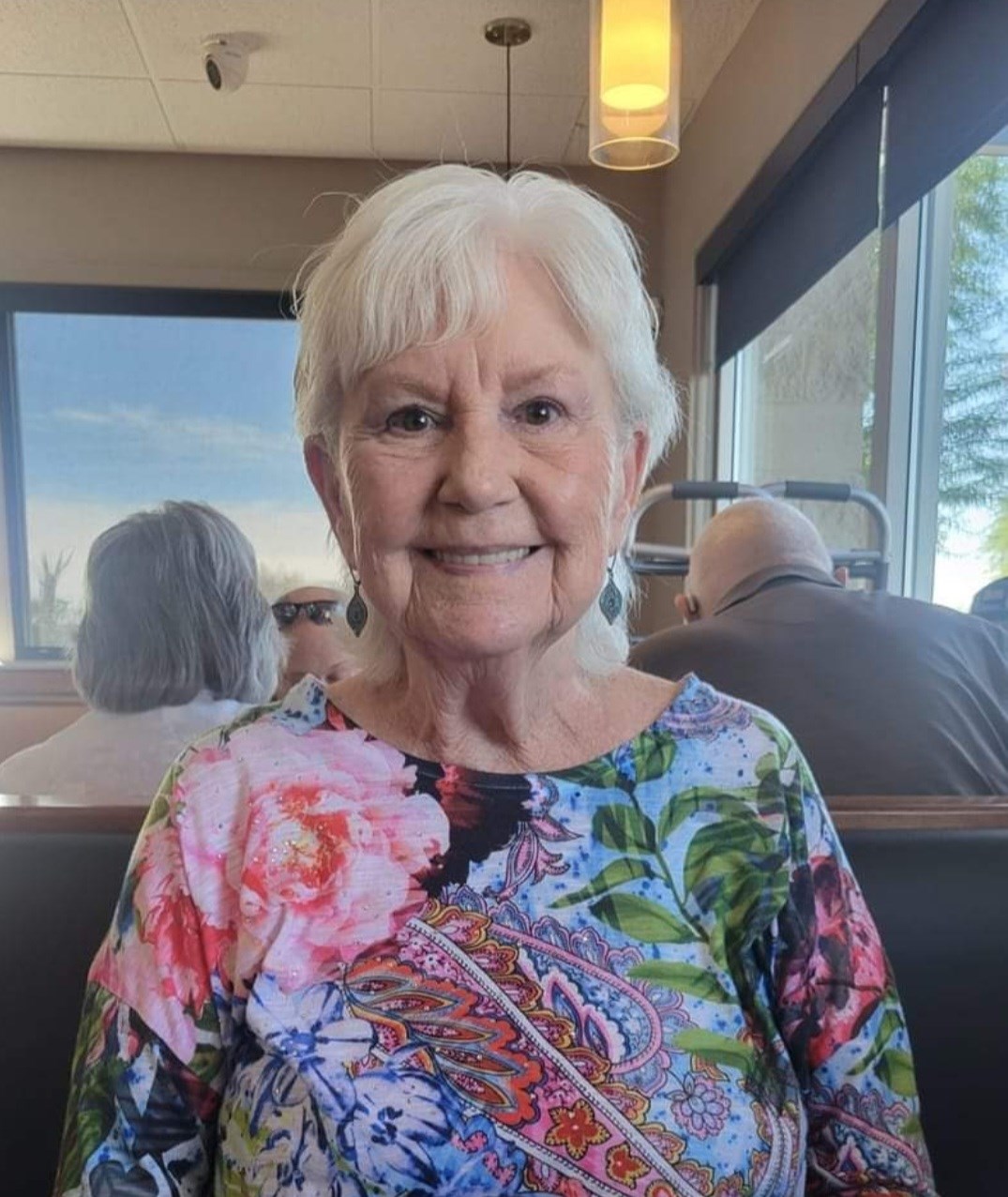 Diana Lynn DeSantisHiggins Obituary Surprise, AZ