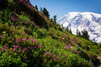 Obituary of Guy Richard Boswell