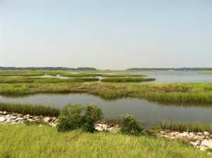 Obituary of Carolyn R. Jarrell Duggan