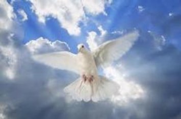 Obituary of Helen J. O'Connell