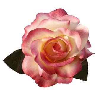 Obituary of Marie C. Milone