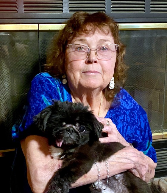 Obituary of Mary Linda Blasini