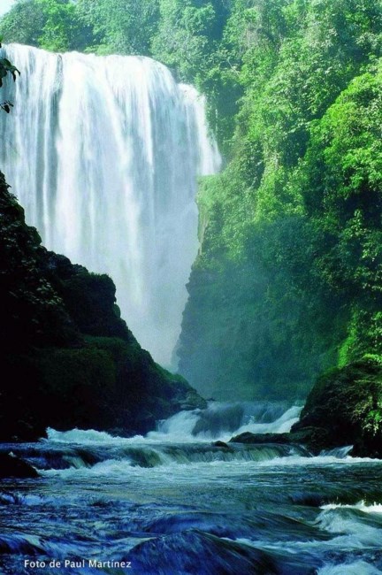 Obituary of Brian Martin Scott