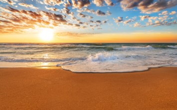 Obituary of Noelle Skidmore