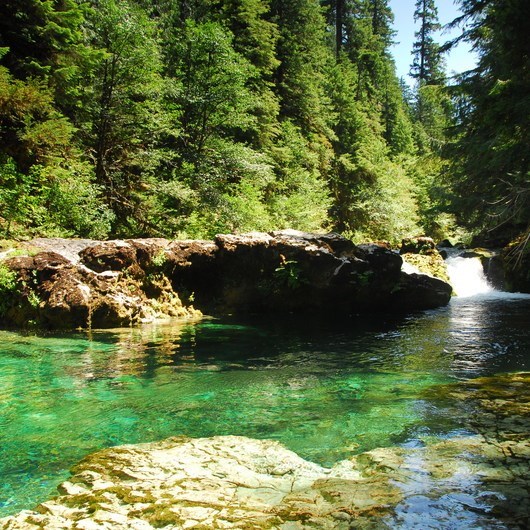 Obituario de Michael Guy Smith