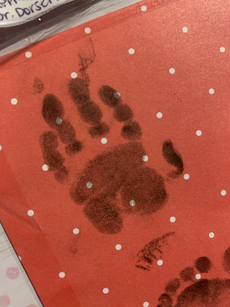 Obituary of Chevy Erin Garcia