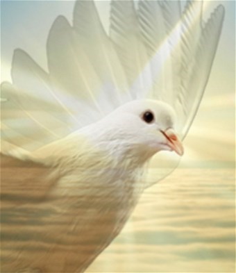 Obituary of Fely Paceb Galinato