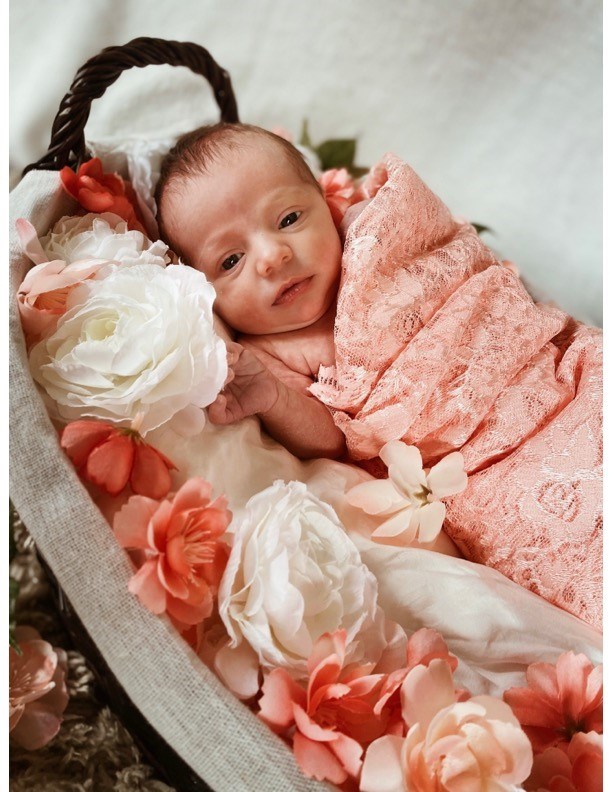 Obituary of Laila Katherine Cirillo