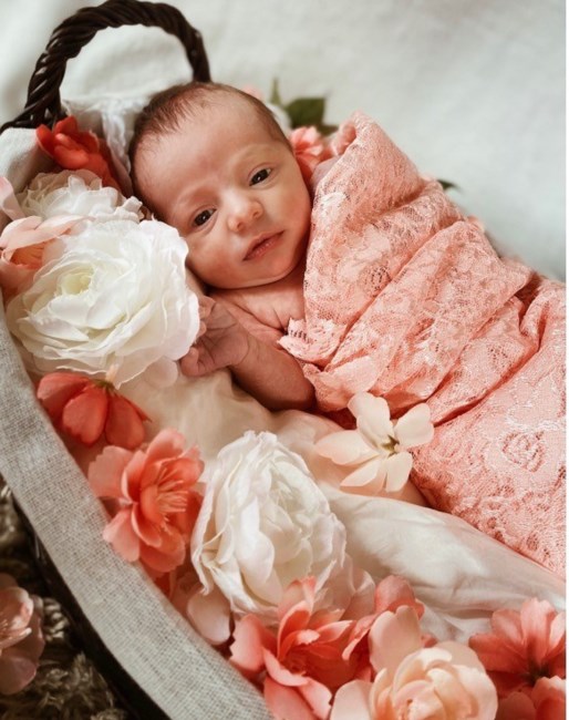 Obituary of Laila Katherine Cirillo