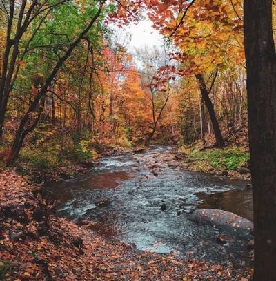 Obituary of Richard Post Guy