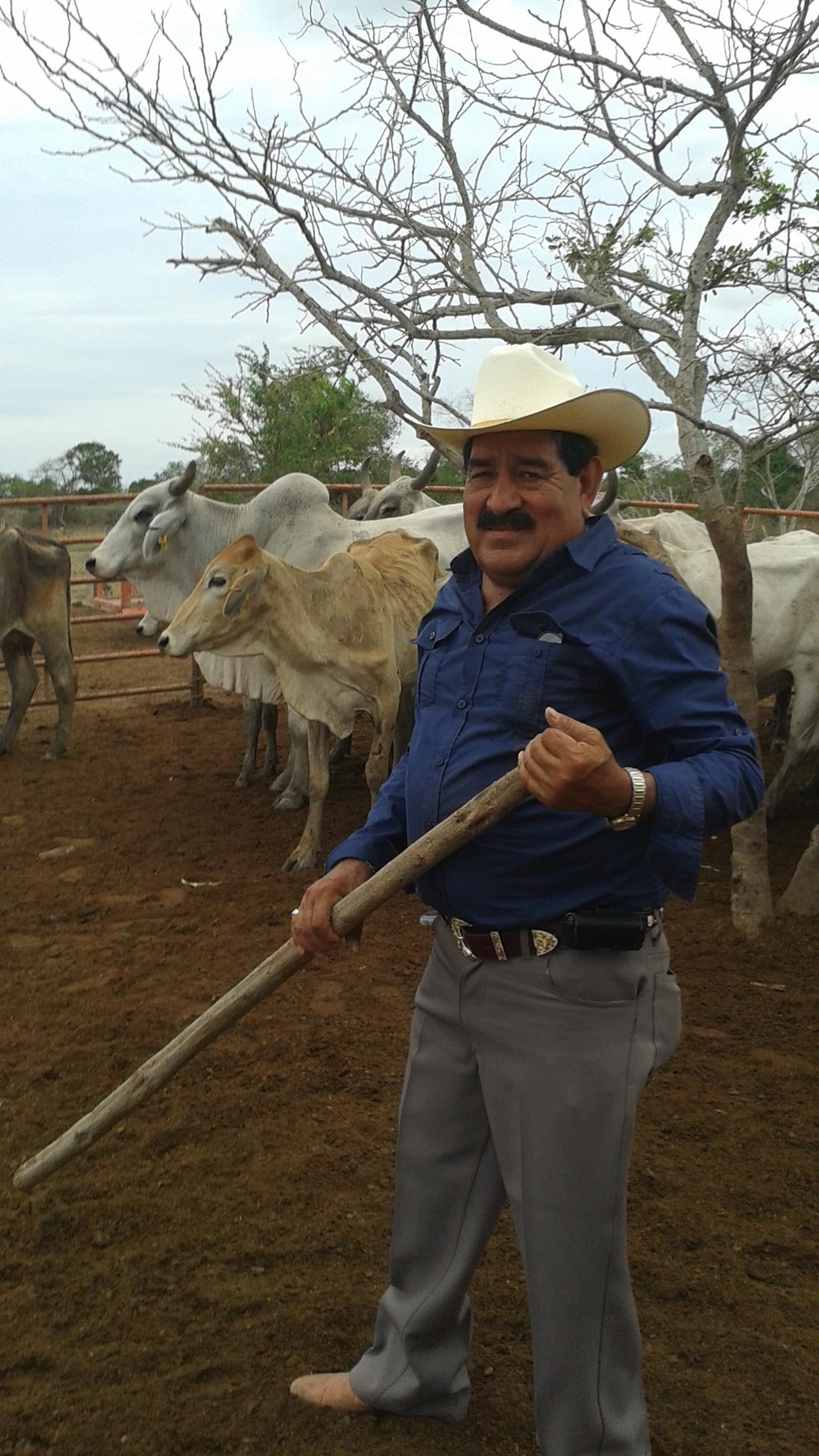 Obituary of Miguel Diaz