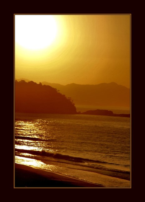 Obituary of Anna C. Maresco