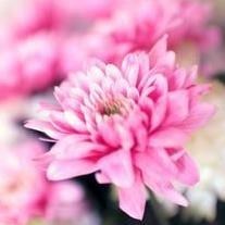 Obituary of Robin Conner