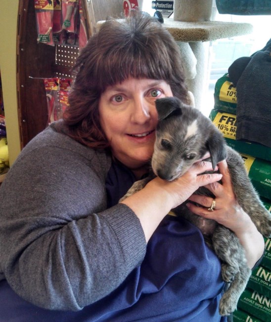 Obituary of Lisa Marie O'Sullivan