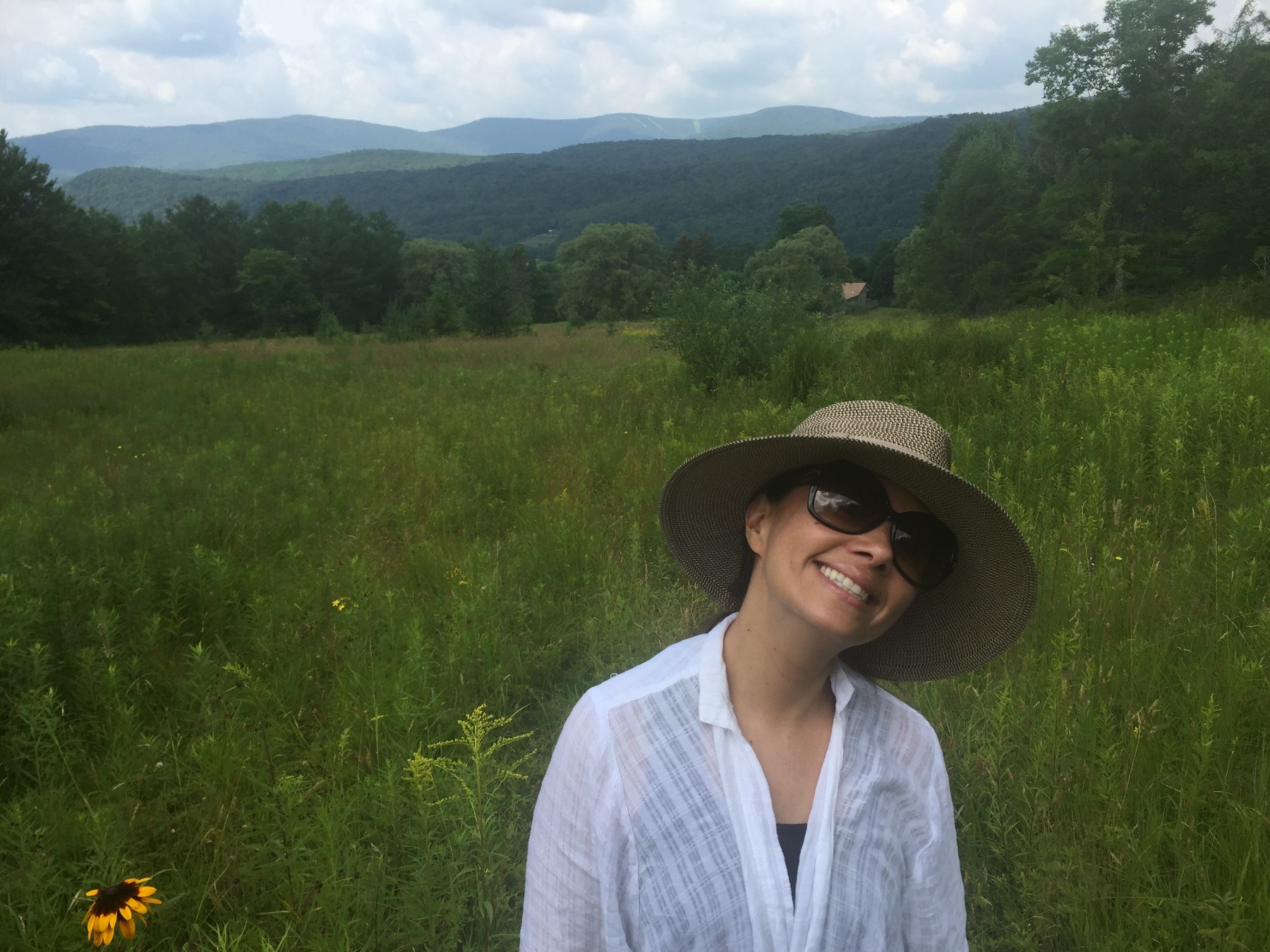 Obituary of Di Ana Pisarri