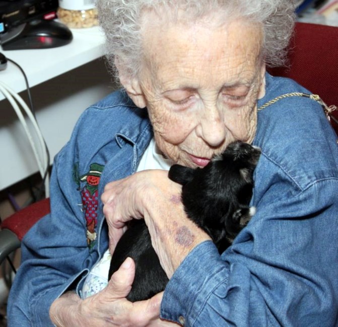 Obituario de Marilyn Meadow