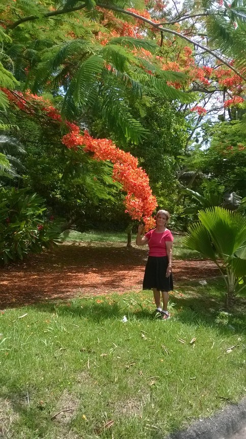 Obituary of Sra. Socorro Cabrera Martínez