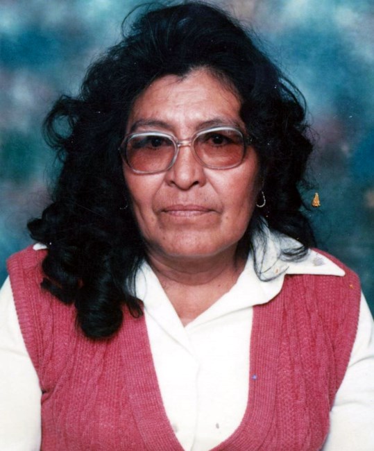 Obituary of Maria Isabel Trevino