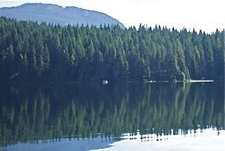 Obituary of Frank Harry TUDOR