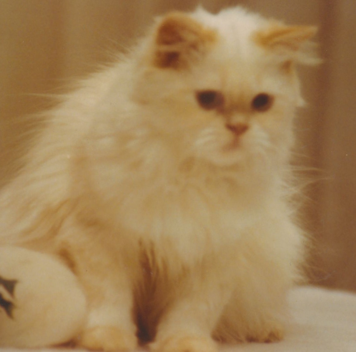 Obituary of Byron Jay Fassett "Beejay"