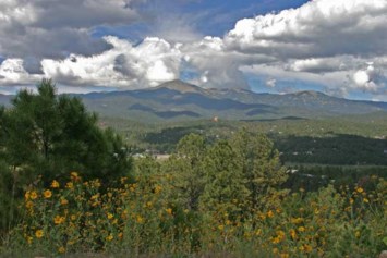 Obituary of William "Bill" David Campbell Jr.