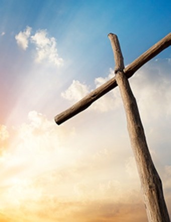 Obituary of Thomas Ray McNamara
