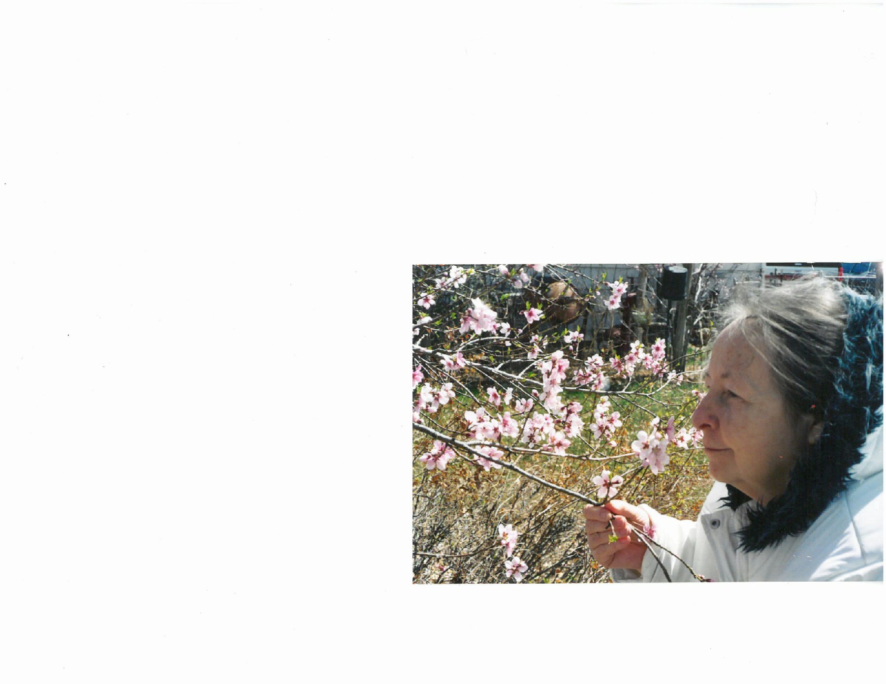 Obituary of Leona "Pat" McFarland