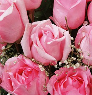 Karen Burns Obituary Pittsburgh Pa