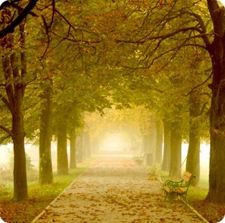 Obituary of Albert Timothy McKool