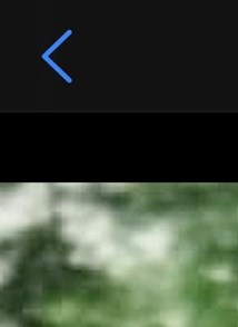 Bruce Colbert Obituary - Indianapolis, IN