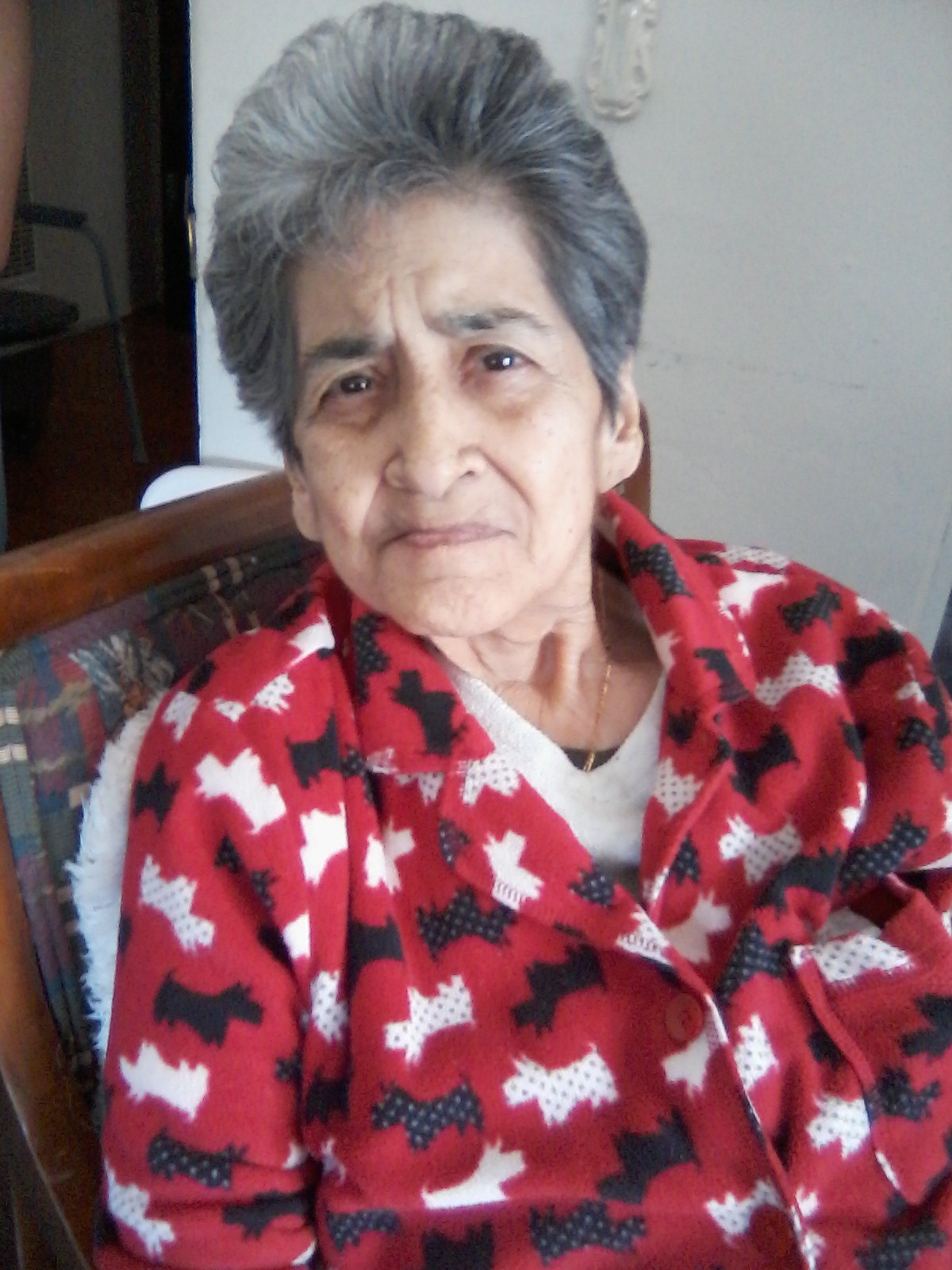 Obituary of Adeline Elisa Ramirez