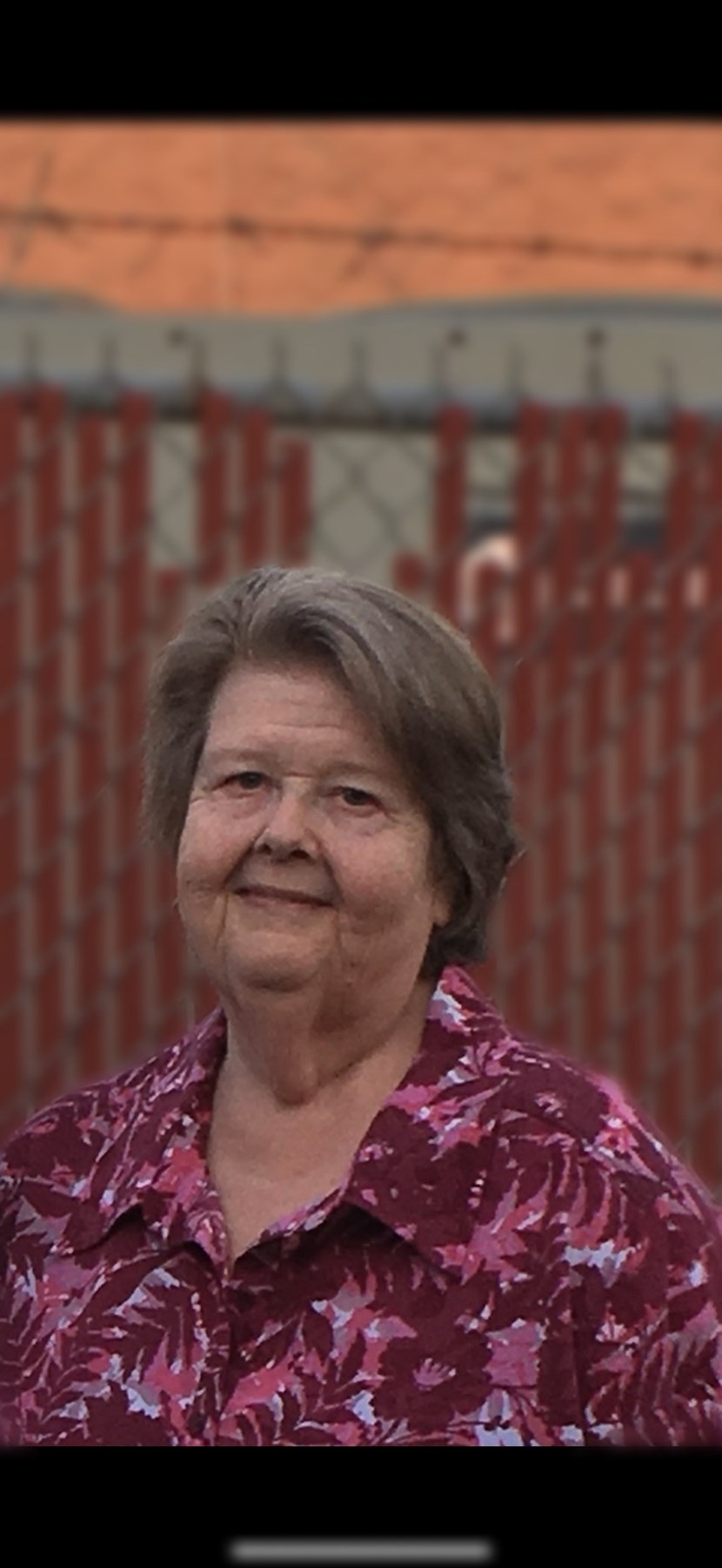 Obituary of Pamela Carroll