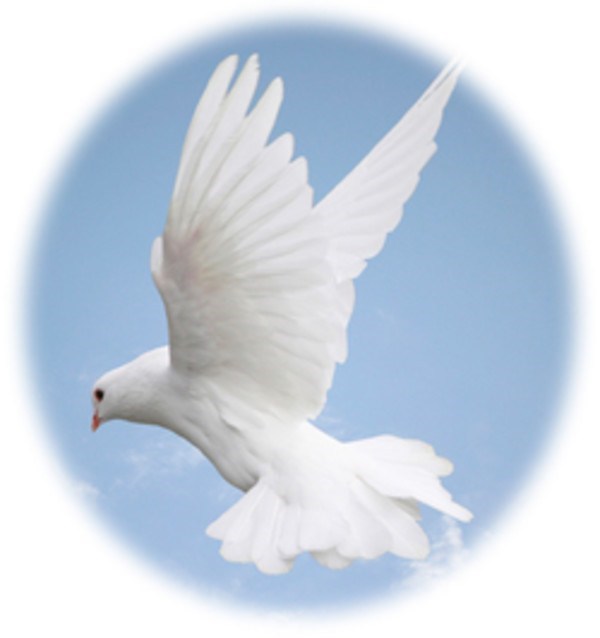 Obituary of Father Emeric John Carmody, O. Carm