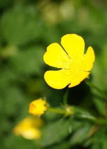 Avis de décès de Elias Tsakas