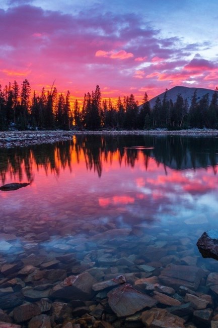 Obituary of Bradley William Gibson