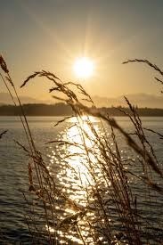 Obituary of Tracey Karen McCall