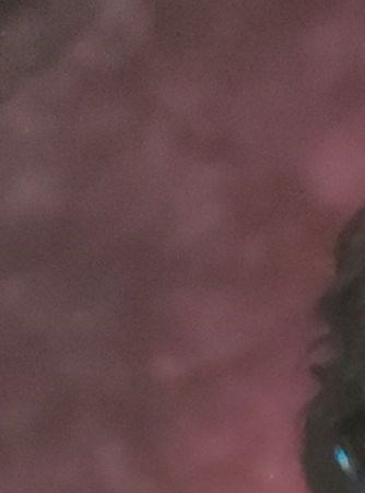 Emma Salas De Torres Obituary Chino CA emma-salas-de-torres-obituary-chino-ca