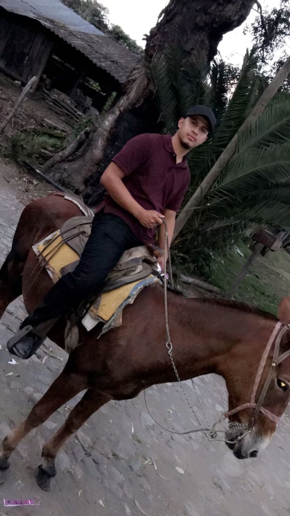 Obituary of Fernando Jr. Elizondo Nunez