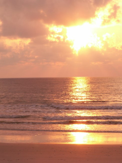 Obituary of Archie Dewayne Speck