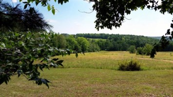 Obituary of Alexander Martinez Longoria