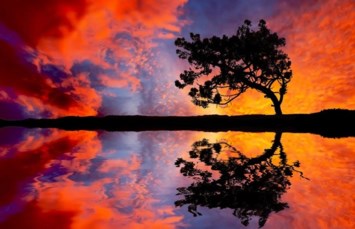 Obituary of Billy L. Garza