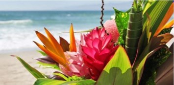 Obituary of Rosemary P. Watson