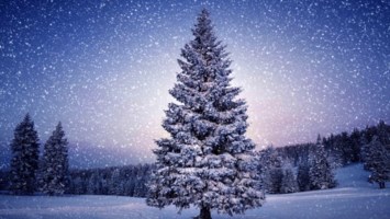 Obituary of Anna Benante