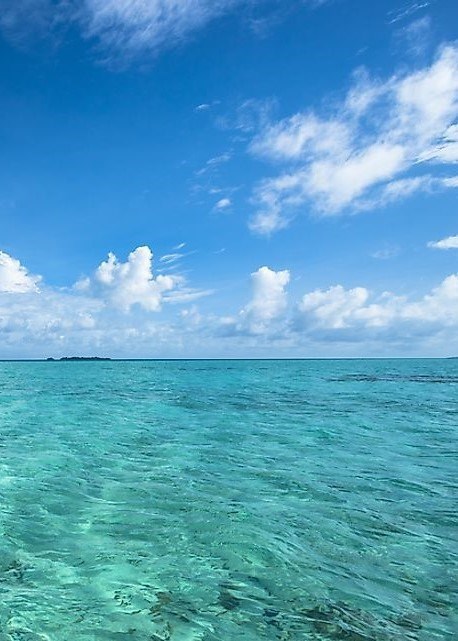 Obituary of Zlatko Petrovic